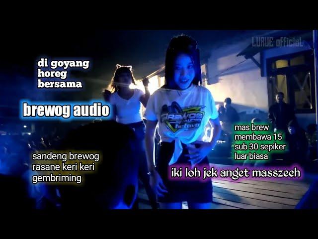 jek anget masszeh goyang horeg bersama brewog audio sound system di desa ngramban ngantang malang