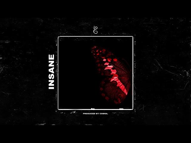 [FREE] Post Malone Type Beat - "Insane"