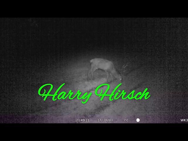 Harry Hirsch