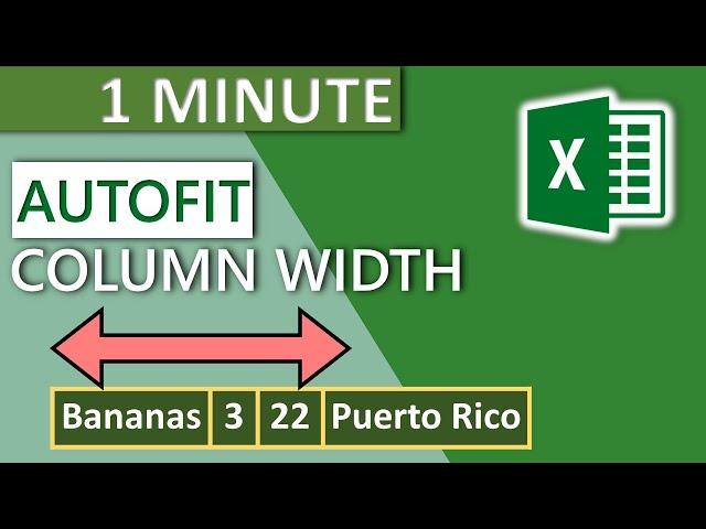 Excel Column Autofit  Width (2020) - 1 MINUTE