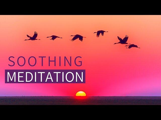 Guided Meditation for Calming ANXIETY - Meditation for Calming the Mind