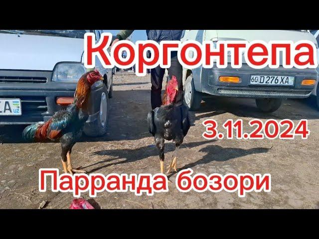 Коргонтепа парранда бозор 3.11.2024 #tezkor #diqqat #muhim