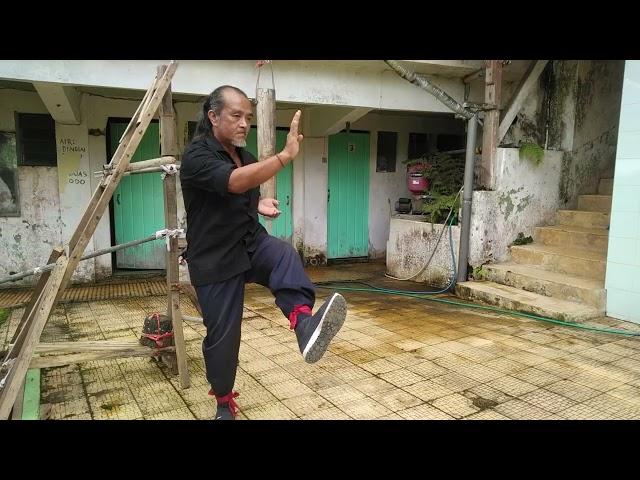 Video 17: Comprehensive Training: Wing Chun Level 7 Mastery