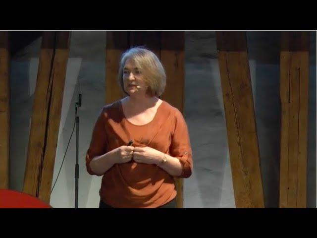 The craziness of research funding. It costs us all. | Geraldine Fitzpatrick | TEDxTUWien