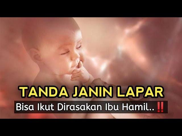 Ini Tanda yang Dirasakan Bumil saat Janin Sedang Lapar