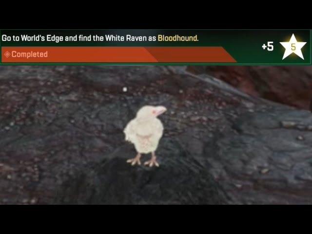 Go to World's Edge and find the White Raven as Bloodhound - Apex Legends