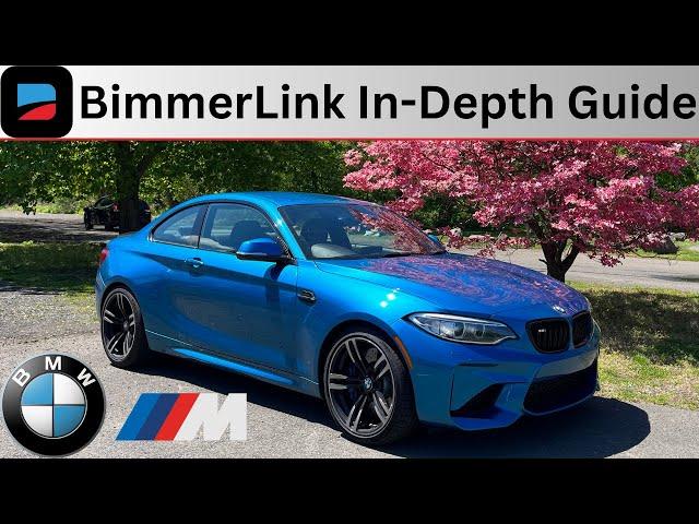How to Use BimmerLink for your BMW (2024)
