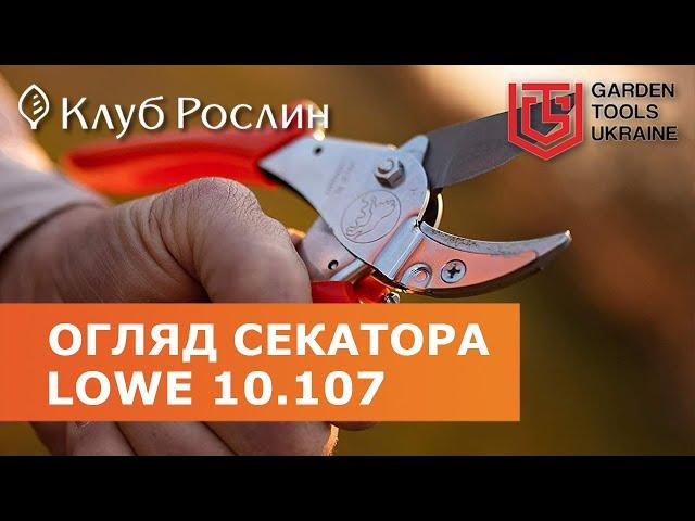 Secateurs LOWE 10.107 - overview of garden tools