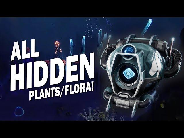 Where to Find ALL Hidden Plants & Flora in Season of the Deep! EXOTIC GHOST SHELL! Guide