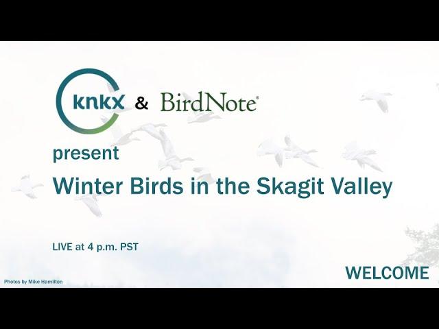 KNKX and BirdNote present Winter Birds in the Skagit Valley