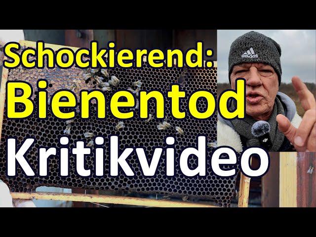 Kritikvideo: Totes Bienenvolk, die WAHREN schockierenden Gründe - Bienen-Anfänger aufgepasst! Nosema