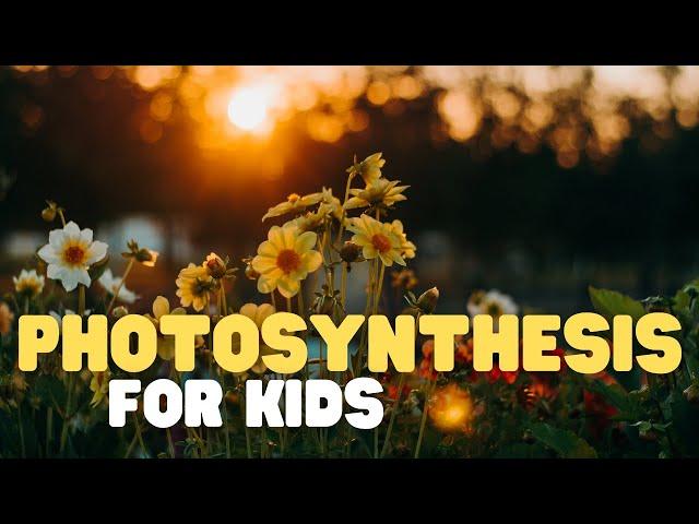 Photosynthesis for Kids | Learn how plants MAKE their own food