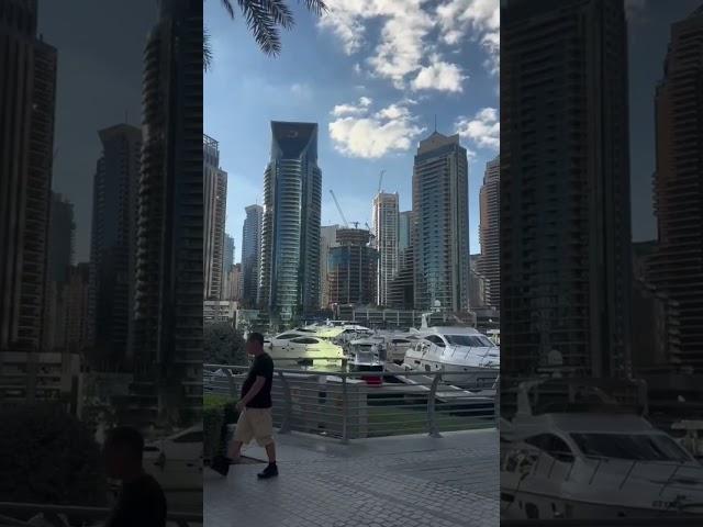 Day in the life studying abroad in UAE #studyabroad #dubai #studyabroadadventures