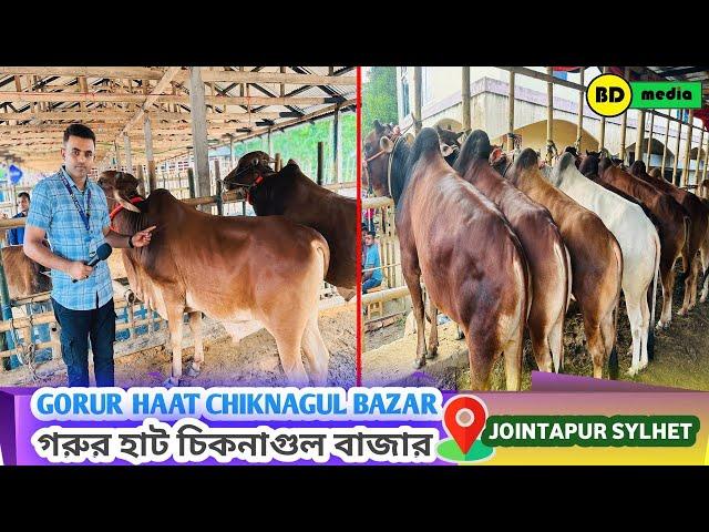 Gorur Haat Chiknagul Bazar Jointapur - Sylhet গরুর হাট চিকনাগুল বাজার জৈন্তাপুর - সিলেট