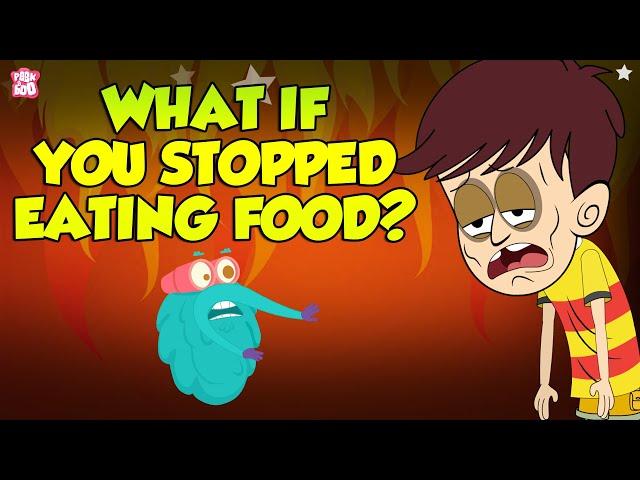 What If You Stopped Eating Food? | Starving Yourself | The Dr Binocs Show | Peekaboo Kidz