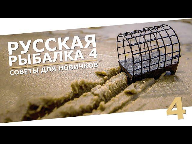 РУССКАЯ РЫБАЛКА 4 - Советы для новичков, как играть в 2024 / Донка, прокачка для новичка / Стрим 4