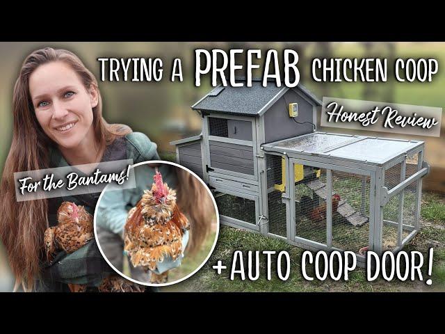 I tried a prefab CHICKEN COOP - for the bantams! + Auto Coop Door (HONEST REVIEW)