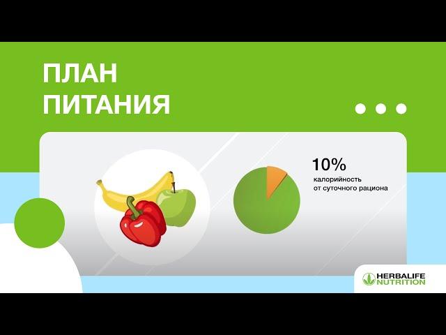 Эксперт Herbalife Nutrition о плане питания на день