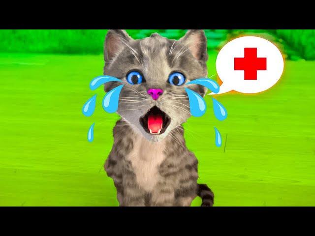 SPECIAL LITTLE KITTEN ADVENTURE - LONG EDUCATIONAL VIDEO WITH CUTE CAT AND KITTEN