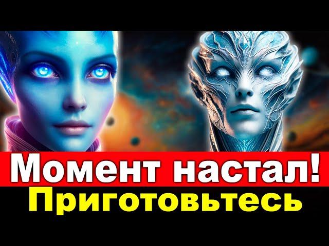 【Срочно】Сентябрь 2024 года отмечает начало: готовьтесь к откровениям【Совет Арктуруса】