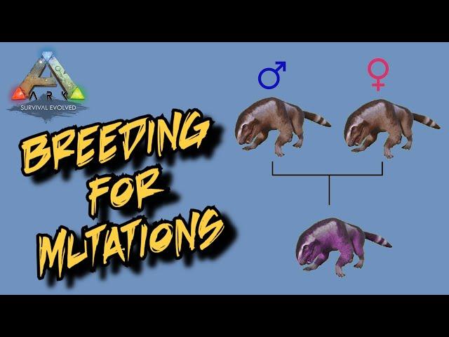 Breeding for Mutations in Ark Survival Evolved