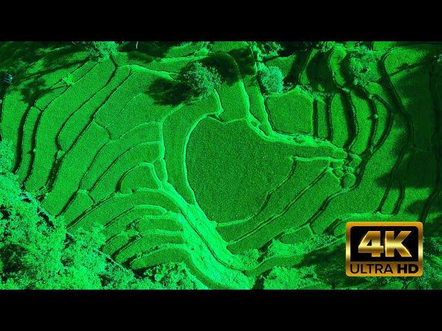 Background Video Pemandangan Indah | Alam Menghijau Pedesaan | Footage Drone FHD4K | Bebas Hak Cipta