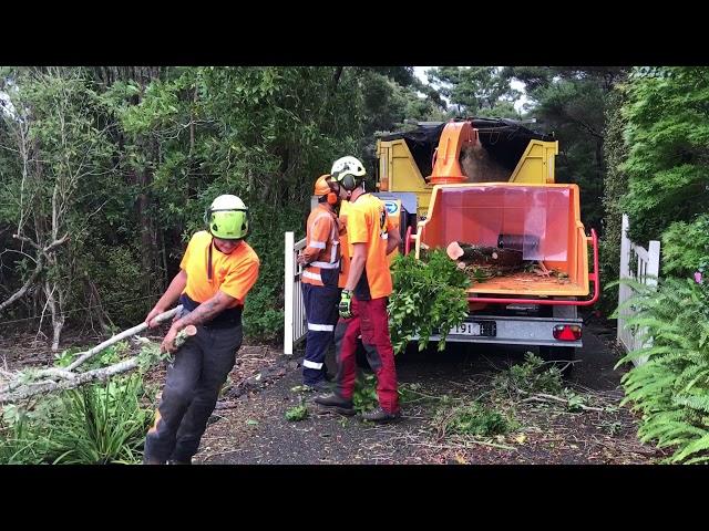 Jensen A141 XL, Alfa Contracts NZ Ltd, Tree King and Arbcon