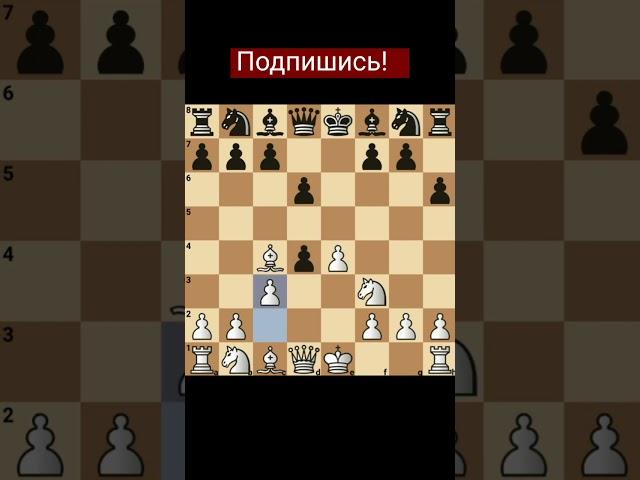 Лучшая атака в шахматах 100% победа!  #дебюты #ловушки #шахматы #chess #chessgame