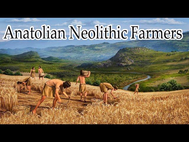 Anatolian Neolithic Farmers