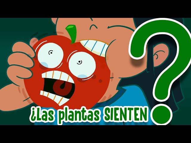 What do plants feel?  - CuriosaMente 260