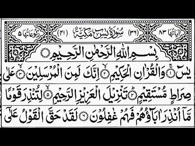 Surah Yaseen | Ar-Rhaman | Surah Yasin 2 Times Daily Quran Tilawat Episode 387 Beautiful Recitation