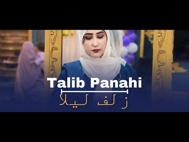 Talib panahi live || Zolf e laila