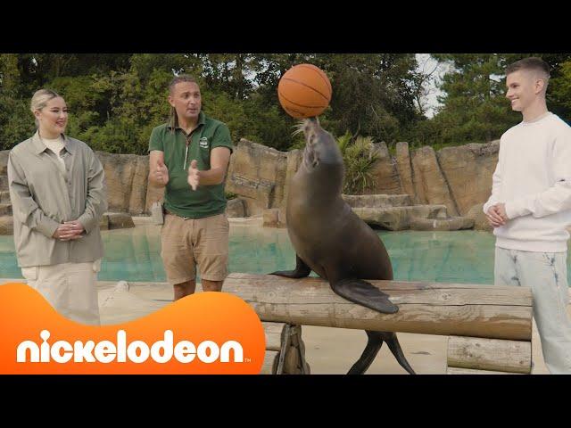 Explore the Blackpool Zoo and Sea Life Aquarium with Lee and Ellie! | Nickelodeon UK