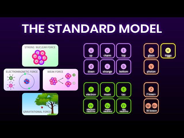 All Fundamental Forces and Particles Explained Simply | Elementary particles