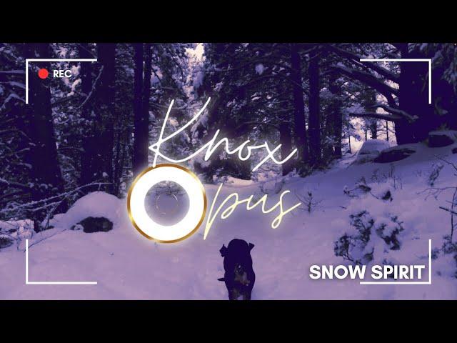 Snow Spirit - Knox Opus