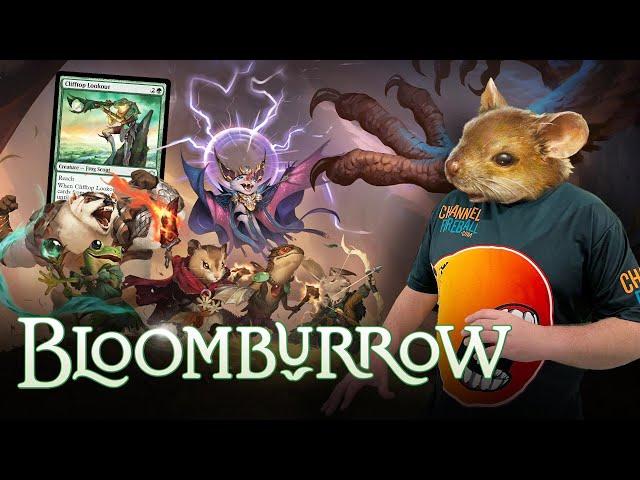 First Bloomburrow Draft With Luis Scott-Varmint!