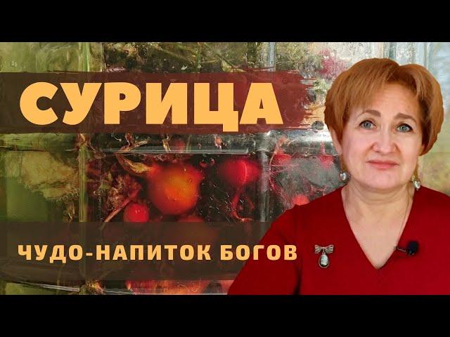 СУРИЦА – чудо-напиток Богов