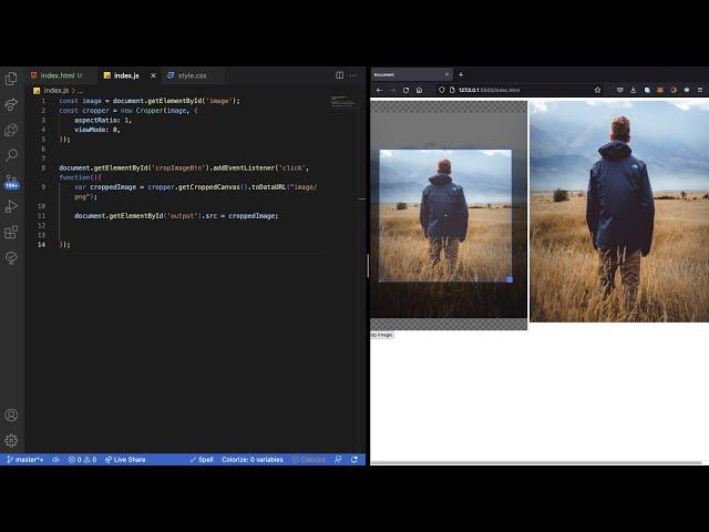 Cropper JS Tutorial: How to Crop Images on the Web