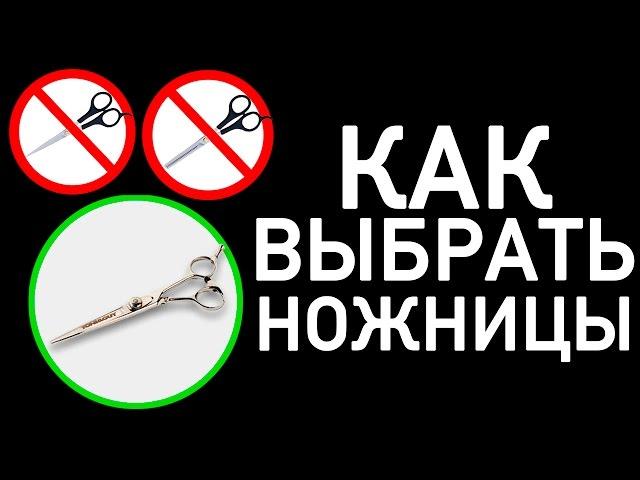 Как правильно выбрать ножницы - Парикмахерские курсы. Обучение парикмахеров.