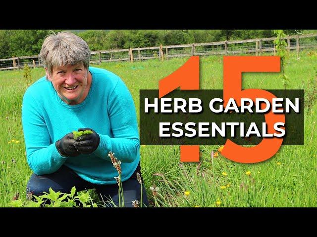 15 MUST HAVE Herbs for the Kitchen | Easy Herbs to Grow Outdoors