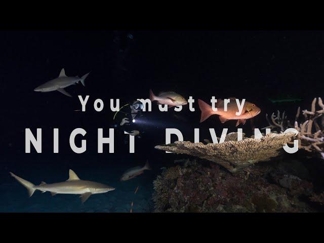 Why you must try NIGHT DIVING!