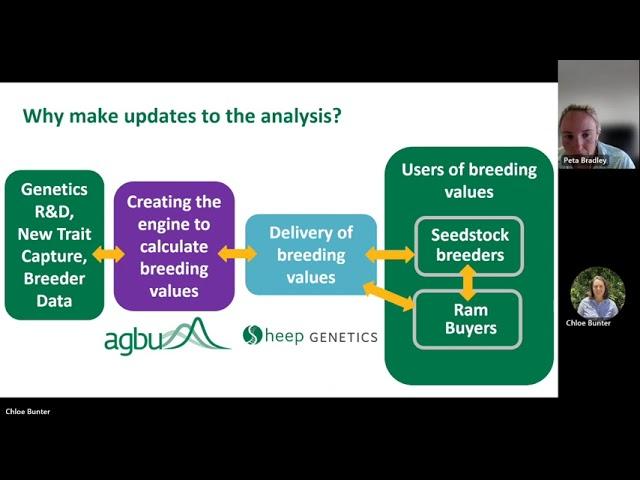 AE23 - Sheep Genetics Analysis Enhancement for 2023