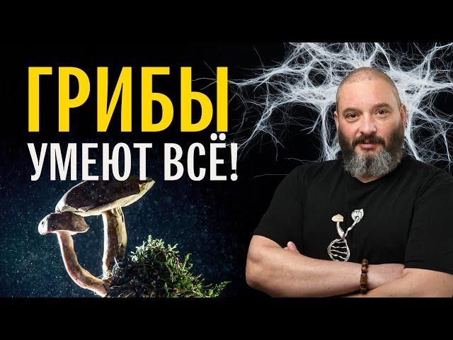 Почему грибы всё умеют? Михаил Вишневский