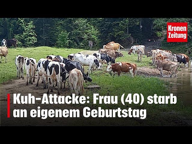 Kuh-Attacke: Frau (40) starb an eigenem Geburtstag | krone.tv NEWS