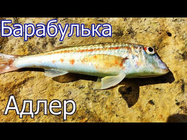 Рыбалка с Пирса, Чёрное Море, Адлер, Глубина 2,2м. Ловля БАРАБУЛЬКИ на поплавок. Подводная съёмка