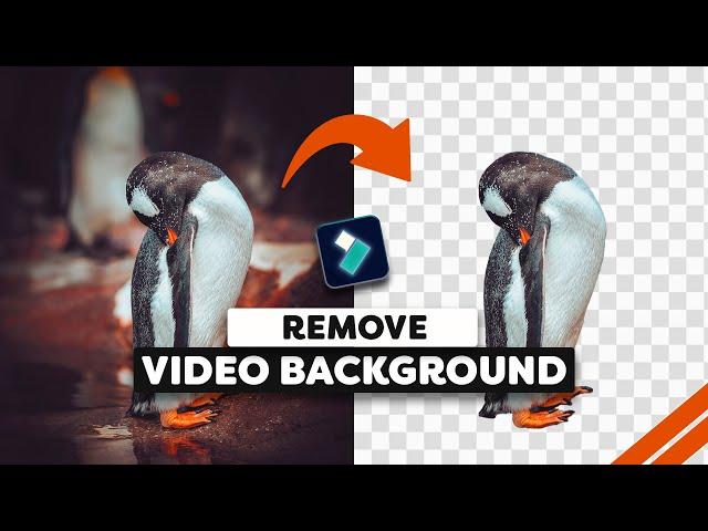 Remove Video Background On Filmora 13