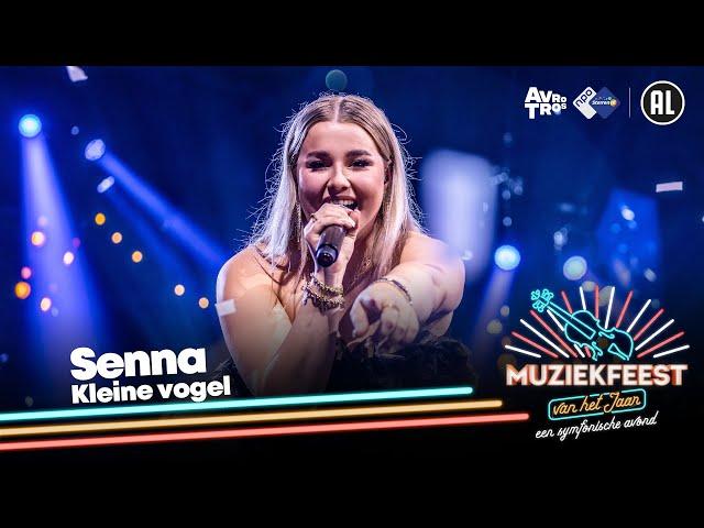 Senna - Kleine vogel • Muziekfeest van het Jaar 2023 // Sterren NL