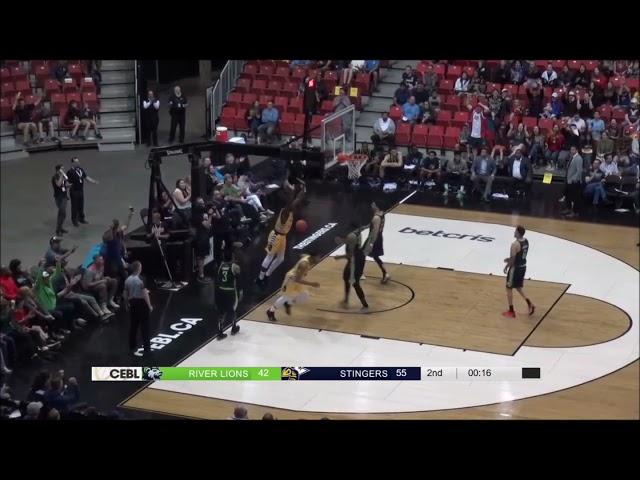 Travis Daniels Stingers Highlights