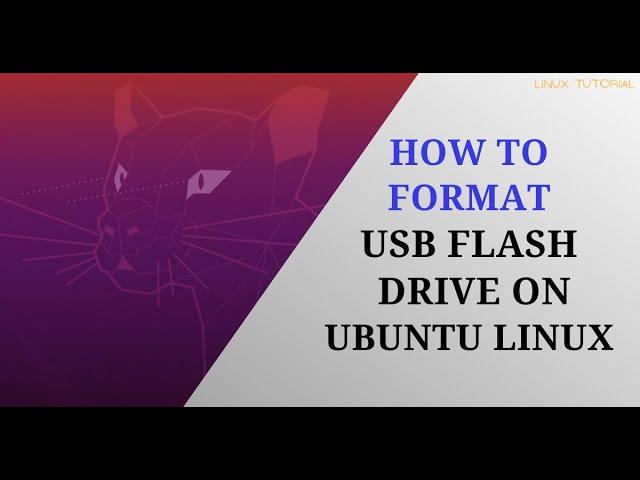 How to Format USB Flash Drive on Ubuntu Linux