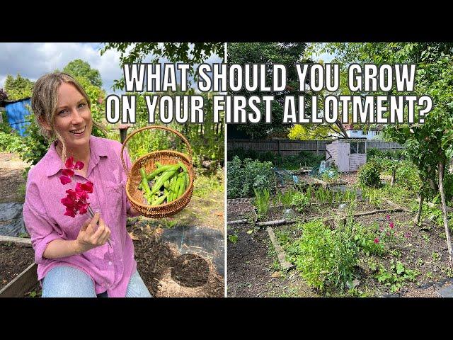 WHAT TO GROW ON YOUR FIRST ALLOTMENT PLOT / ALLOTMENT GARDENING FOR BEGINNERS